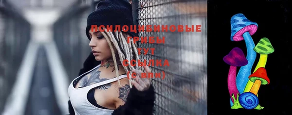 мдпв Волосово