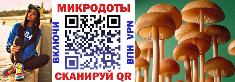 Купить где  Нижняя Тура  Галлюциногенные грибы ЛСД 